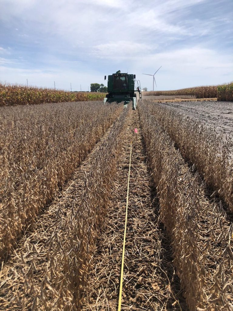 WCS-FARM field photo 4