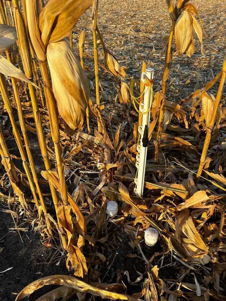 WCS-FARM field photo 9