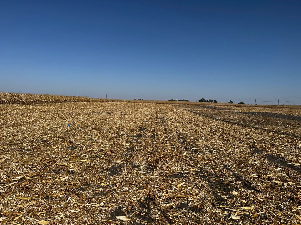 WCS-FARM field photo 13