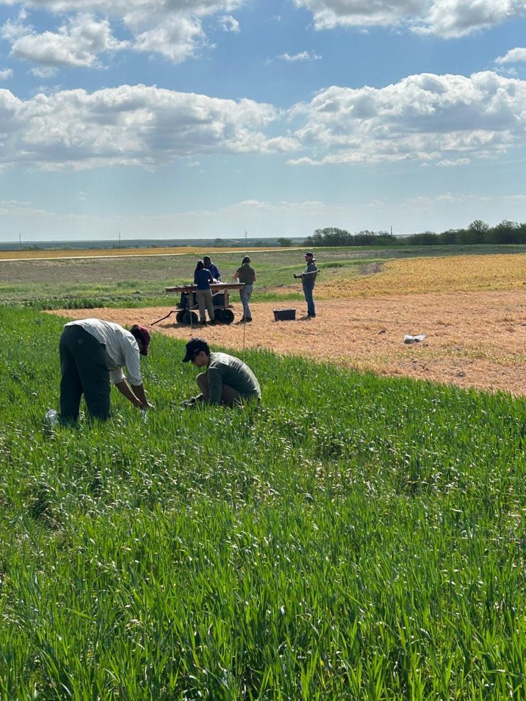 WCS-FARM field photo 18