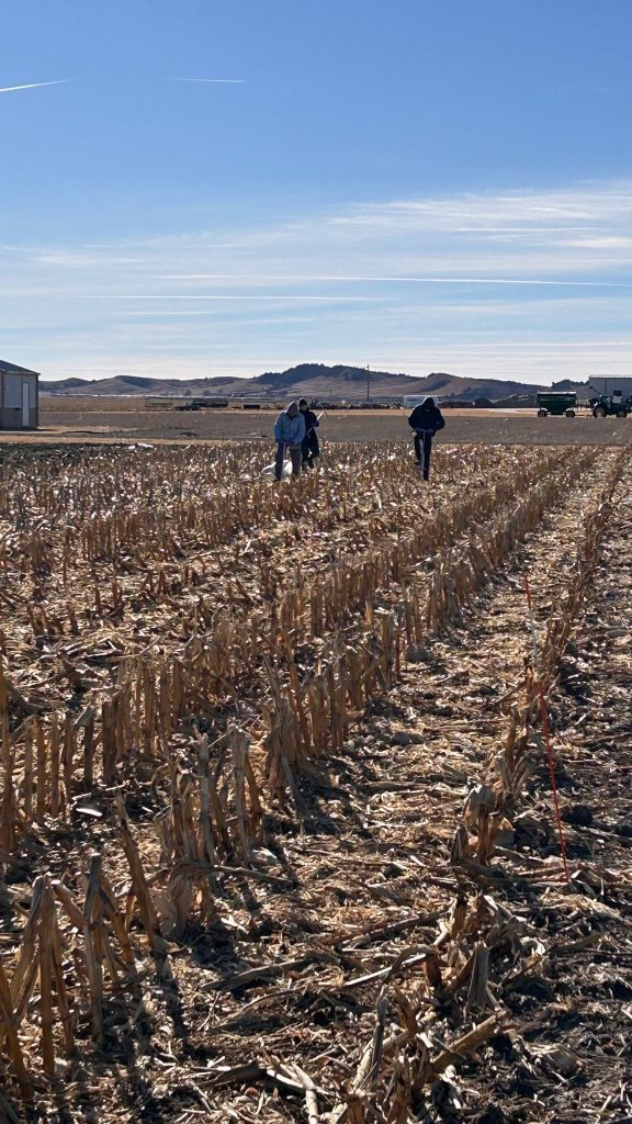 WCS-FARM field photo 22